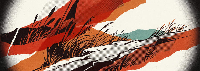 Wind-bent grasses on an exposed ridge