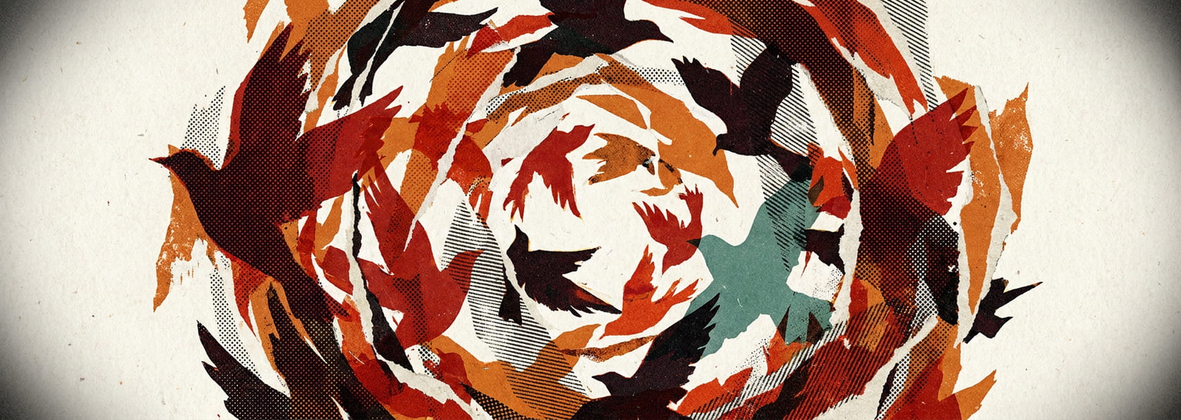 A spiral of migrating birds seen edge-on